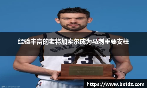 经验丰富的老将加索尔成为马刺重要支柱